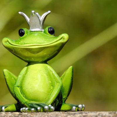 frog-2240764_1280 frog-2240764_1280