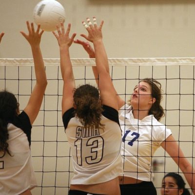volleyball-1604584_1280 volleyball-1604584_1280